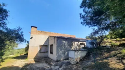 Rustic Finca in Las Norias photo 14