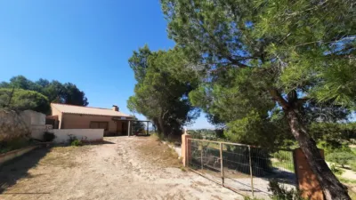Rustic Finca in Las Norias photo 15