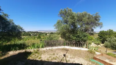 Rustic Finca in Las Norias photo 16