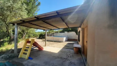 Rustic Finca in Las Norias photo 19
