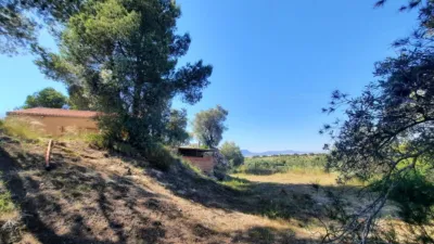 Rustic Finca in Las Norias photo 20
