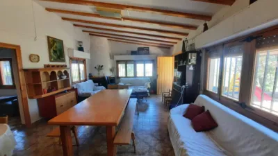 Rustic Finca in Las Norias photo 3