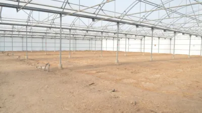 Terreno en alquiler en Partd.Torrellano Alto, Torrellano-Valverde-Parc Empresarial (Elx - Elche) de 4.000 €<span>/mes</span>