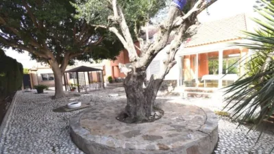 Chalet in Alzabares photo 27