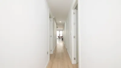 Piso en alquiler en Carrer de Josep María Buck, 41, Pont Nou (Distrito Núcleo Urbano. Elx - Elche) de 900 €<span>/mes</span>