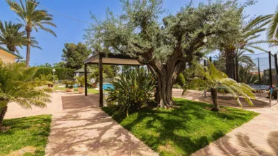 Chalet in La Galia-Bonavista photo 85