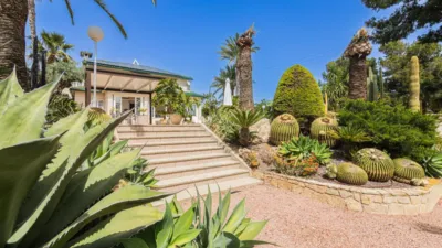 Chalet in La Galia-Bonavista photo 87