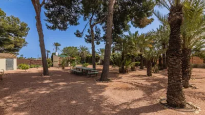 Chalet in La Galia-Bonavista photo 89