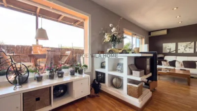 Penthouse on Carrer d'Ignasi Iglesias photo 7
