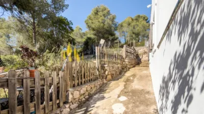 House in Plana Novella photo 19