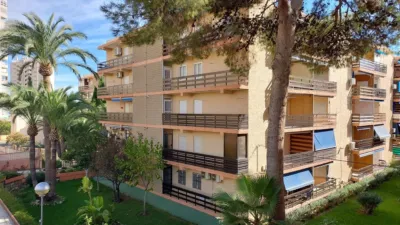 Apartment on Avinguda Jaume I El Conqueridor, 2 photo 25