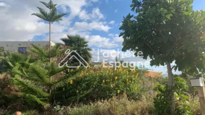 Rustic Finca on Calle Diseminado Acevedo Alcala photo 54