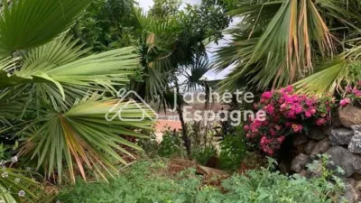 Rustic Finca on Calle Diseminado Acevedo Alcala photo 55