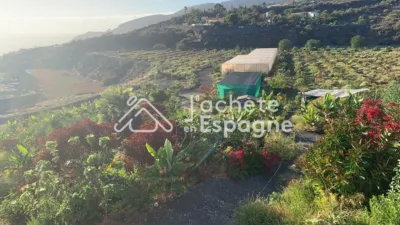 Rustic Finca on Calle Diseminado Acevedo Alcala photo 57