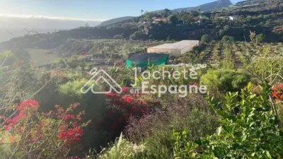 Rustic Finca on Calle Diseminado Acevedo Alcala photo 58