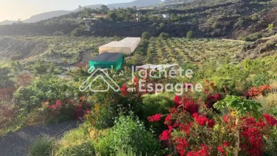 Rustic Finca on Calle Diseminado Acevedo Alcala photo 8