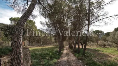 Rustic finca on Calle Sunp-4 El Sargento photo 79