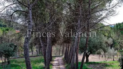 Rustic finca on Calle Sunp-4 El Sargento photo 80