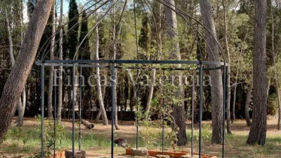 Rustic finca on Calle Sunp-4 El Sargento photo 81