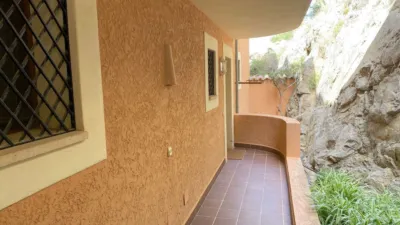 Apartment in Soller photo 20