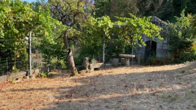 House in Carballeda de Avia photo 41