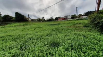 Terreno en venta en Calle Lugar San Clemente, Dp-5404 - Vista 2