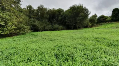 Terreno en venta en Calle Lugar San Clemente, Dp-5404 - Vista 3