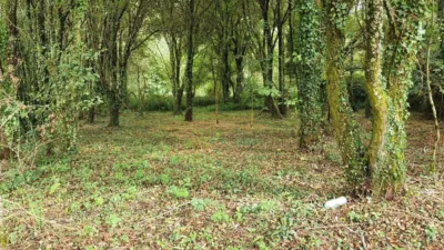 Terreno en venta en Calle Lugar San Clemente, Dp-5404 - Vista 5