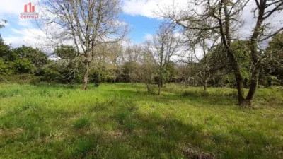 Rustic farm in Vilar de Astres photo 2