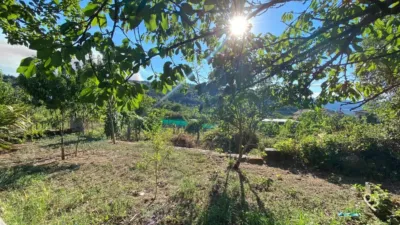 House in Alongos photo 22