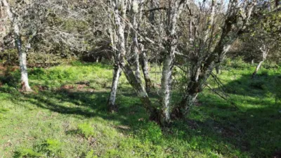 House in Bubeiras photo 5