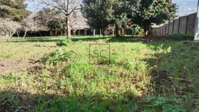 Terreno en venta en Calle Vieja - Vista 3