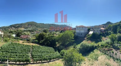 House in Quintela - Los Pinos photo 15