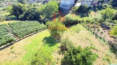 House in Quintela - Los Pinos photo 28