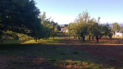 Terreno en venta en Avenida Francisco Vizoso - Vista 3