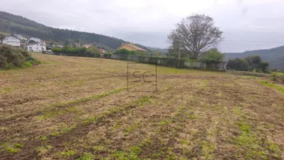 Terreno en venta en Calle Pereira - Más
