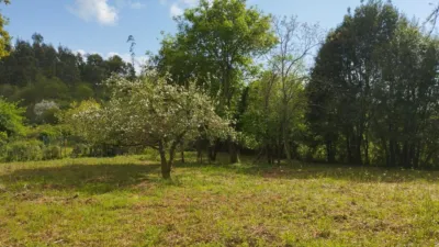 Casa – Cabanas, O Barreiro, O Batán - Vista 2