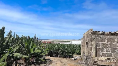 Finca rústica en Tenerife North photo 3