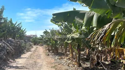 Finca rústica en Tenerife North photo 4