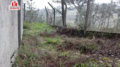 House in the Surroundings photo 11