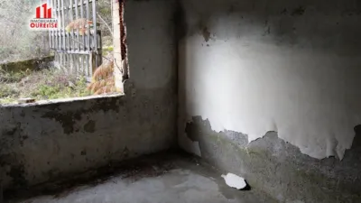 House in the Surroundings photo 8