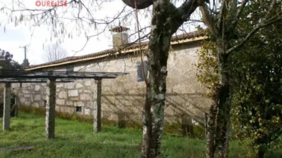 House in the Centre photo 3