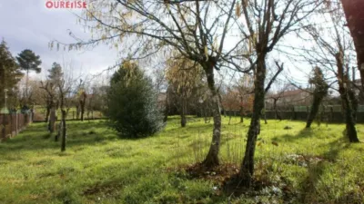 House in the Centre photo 4