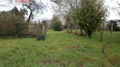 House in the Centre photo 6