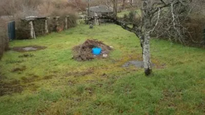 House in the Centre photo 7