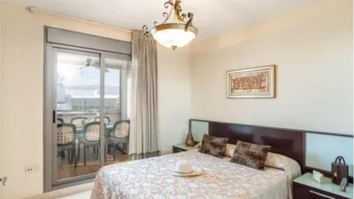 Apartment in Miramar photo 13