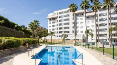 Apartment in Miramar photo 26