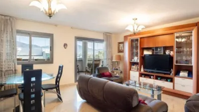 Apartment in Miramar photo 4