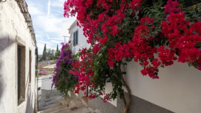 Terraced house at Vereda de Pinchos, 1 photo 4
