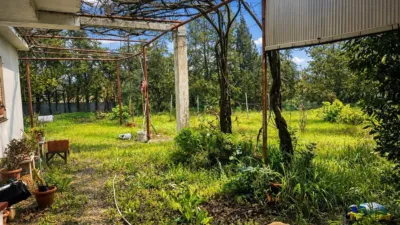 Rustic Finca in Pelagatos - Pago del Humo photo 10